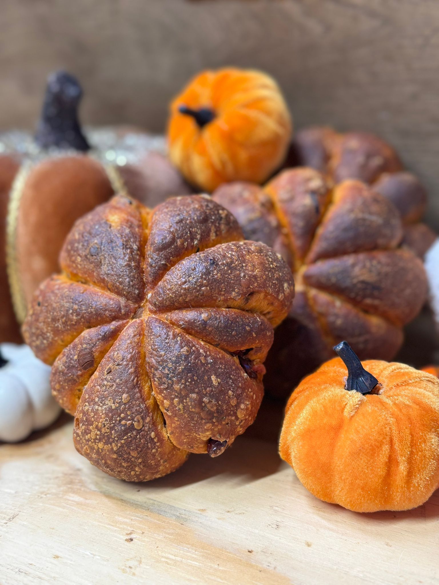 Citrouille d'Automne